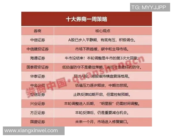 深入分析北京网球队防守策略与战术特点的专业解读